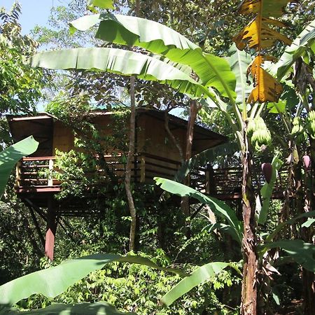 帕沃内斯Treehouse Pilon Pavones别墅 外观 照片