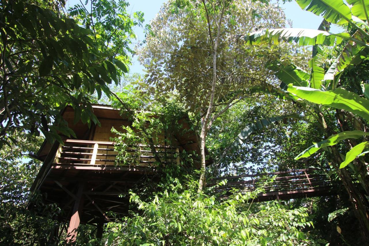 帕沃内斯Treehouse Pilon Pavones别墅 外观 照片