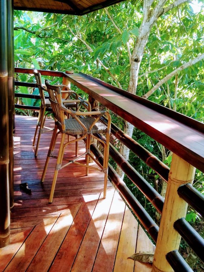 帕沃内斯Treehouse Pilon Pavones别墅 外观 照片