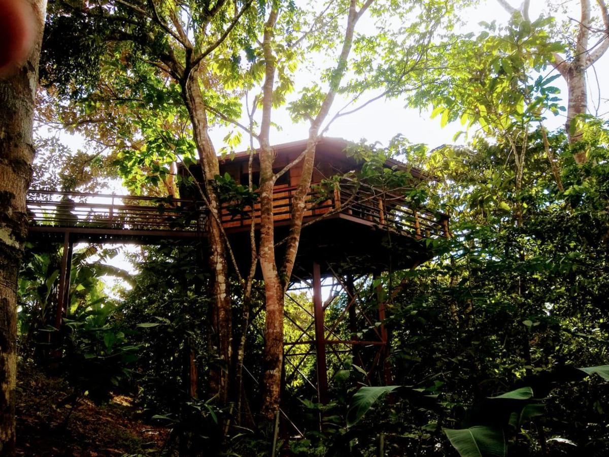 帕沃内斯Treehouse Pilon Pavones别墅 外观 照片