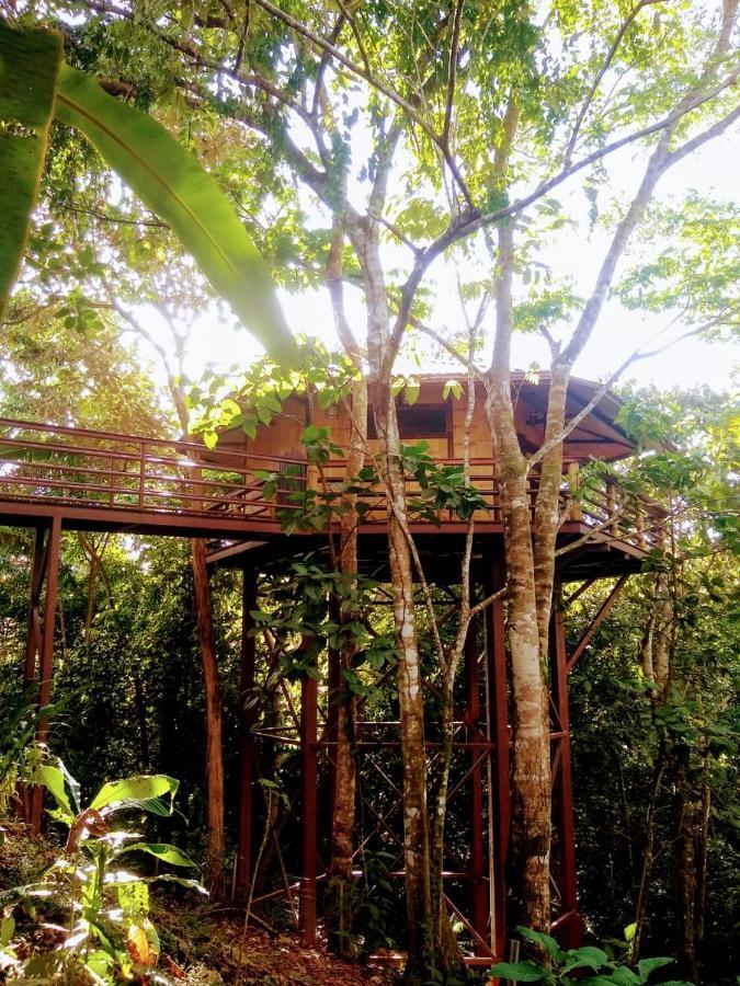 帕沃内斯Treehouse Pilon Pavones别墅 外观 照片