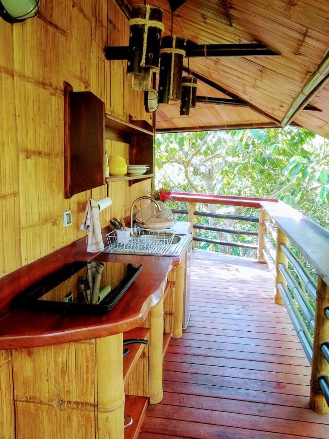 帕沃内斯Treehouse Pilon Pavones别墅 外观 照片