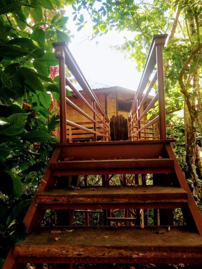 帕沃内斯Treehouse Pilon Pavones别墅 外观 照片