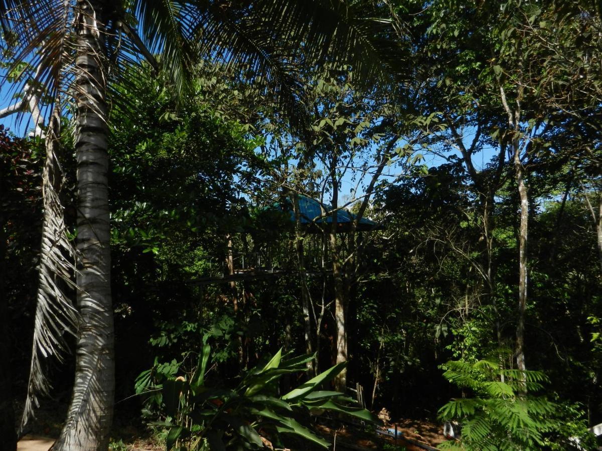 帕沃内斯Treehouse Pilon Pavones别墅 外观 照片