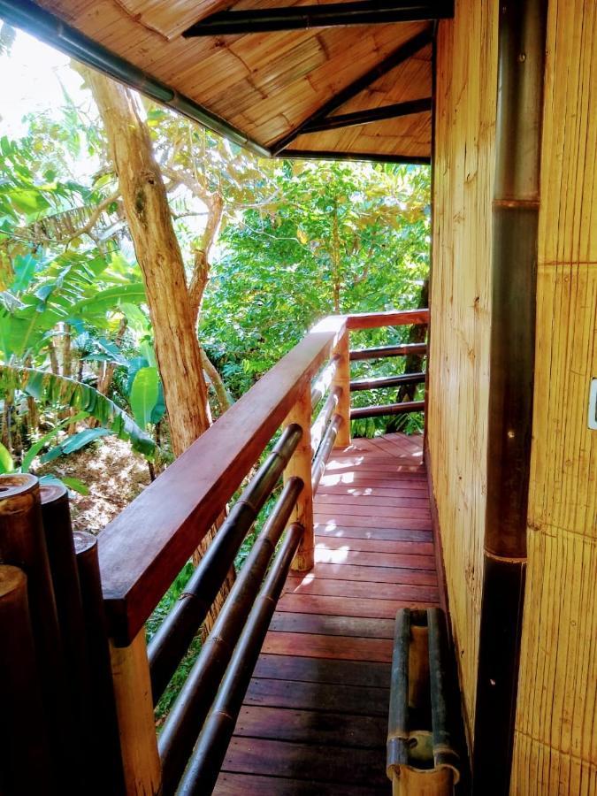 帕沃内斯Treehouse Pilon Pavones别墅 外观 照片