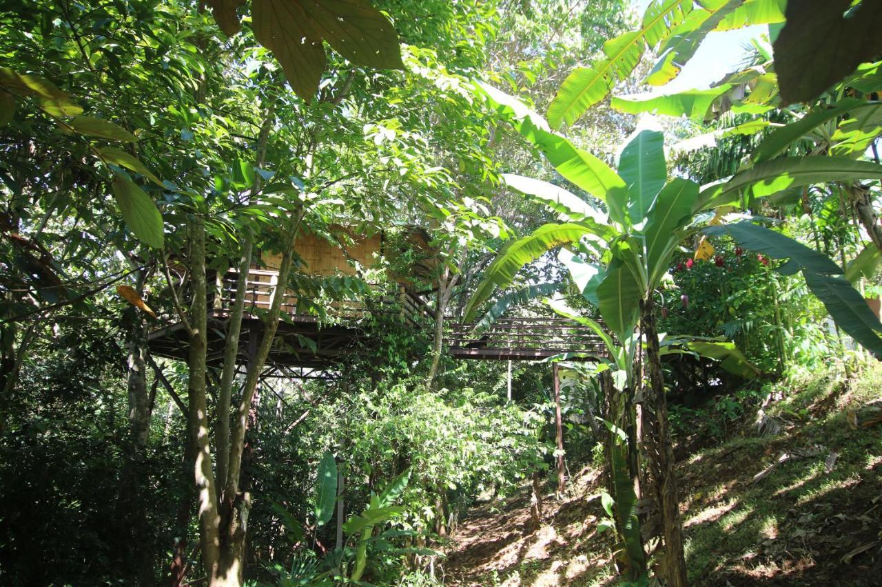 帕沃内斯Treehouse Pilon Pavones别墅 外观 照片