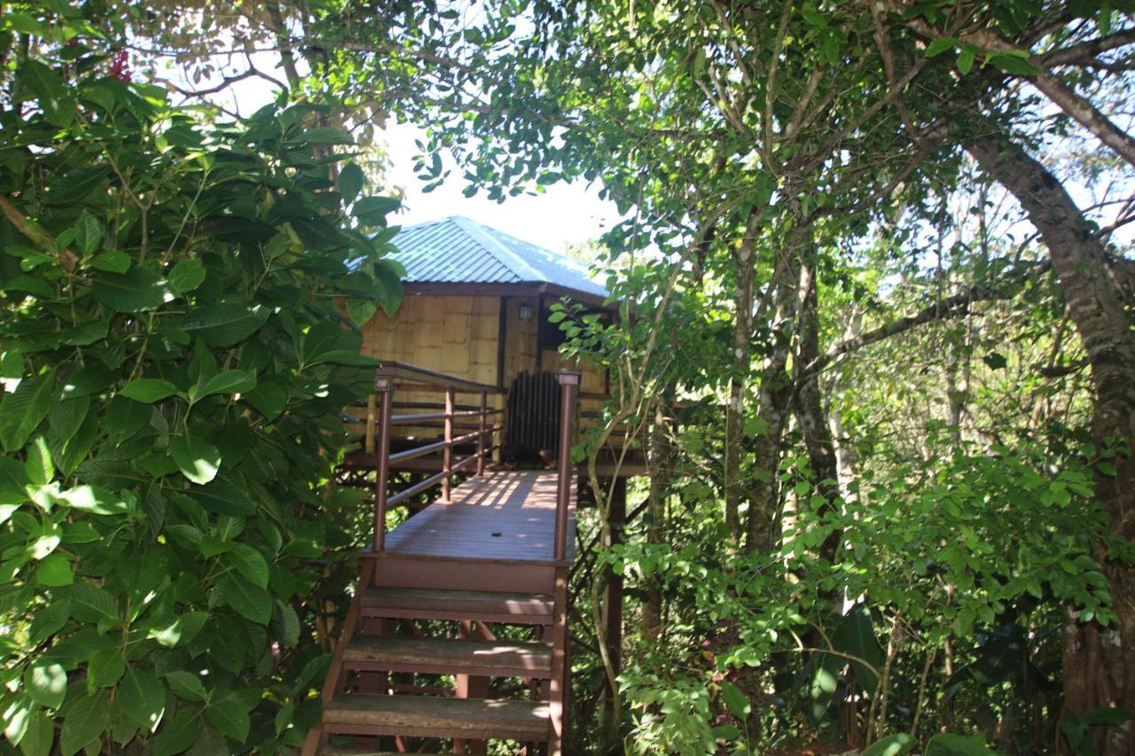 帕沃内斯Treehouse Pilon Pavones别墅 外观 照片