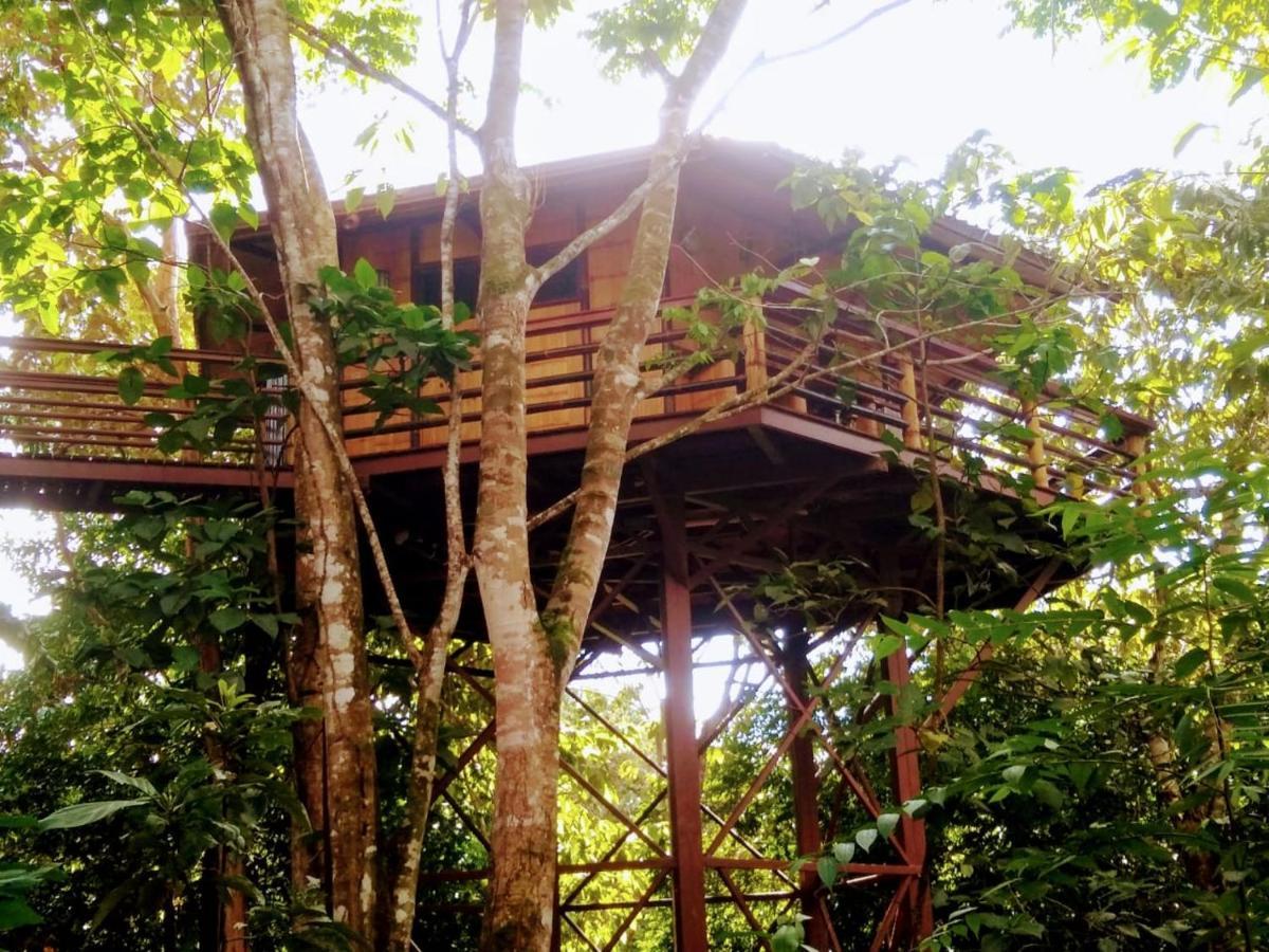 帕沃内斯Treehouse Pilon Pavones别墅 外观 照片