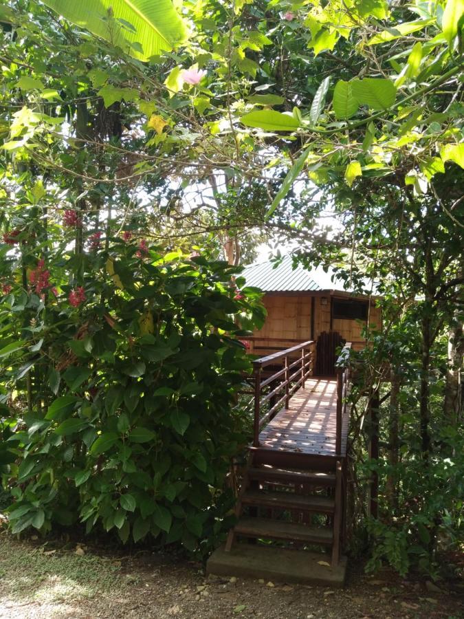 帕沃内斯Treehouse Pilon Pavones别墅 外观 照片