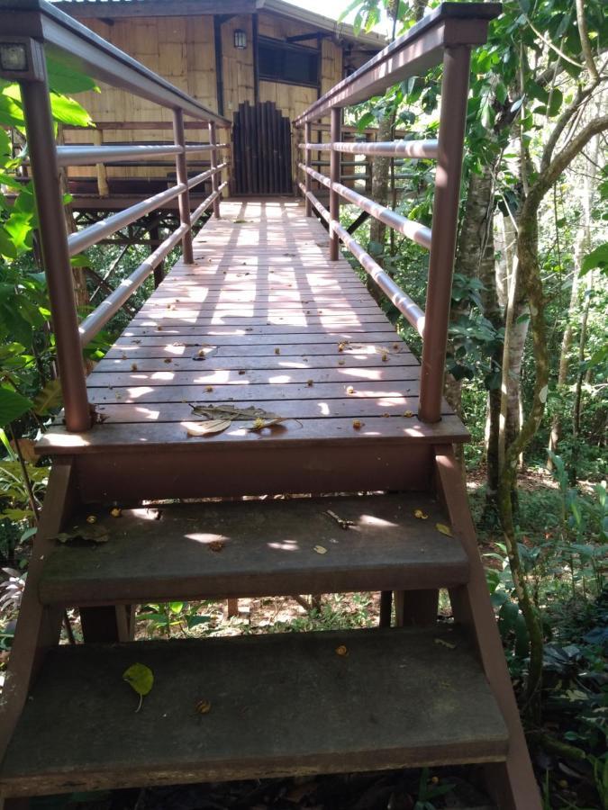 帕沃内斯Treehouse Pilon Pavones别墅 外观 照片