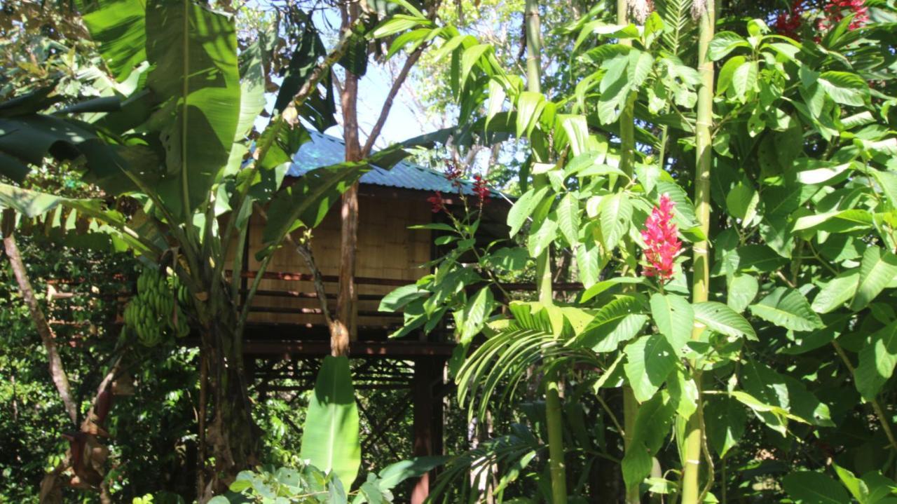 帕沃内斯Treehouse Pilon Pavones别墅 外观 照片
