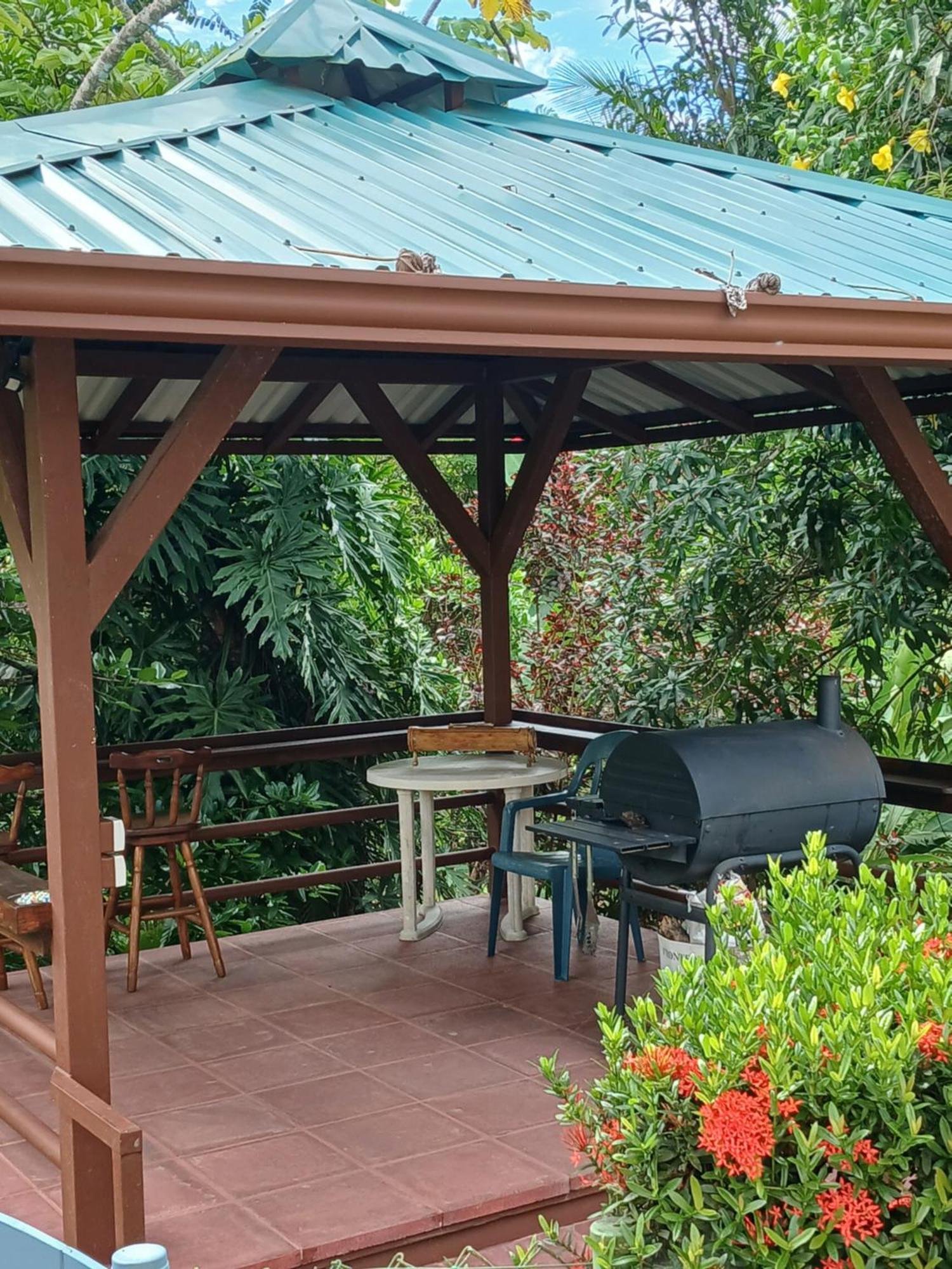 帕沃内斯Treehouse Pilon Pavones别墅 外观 照片
